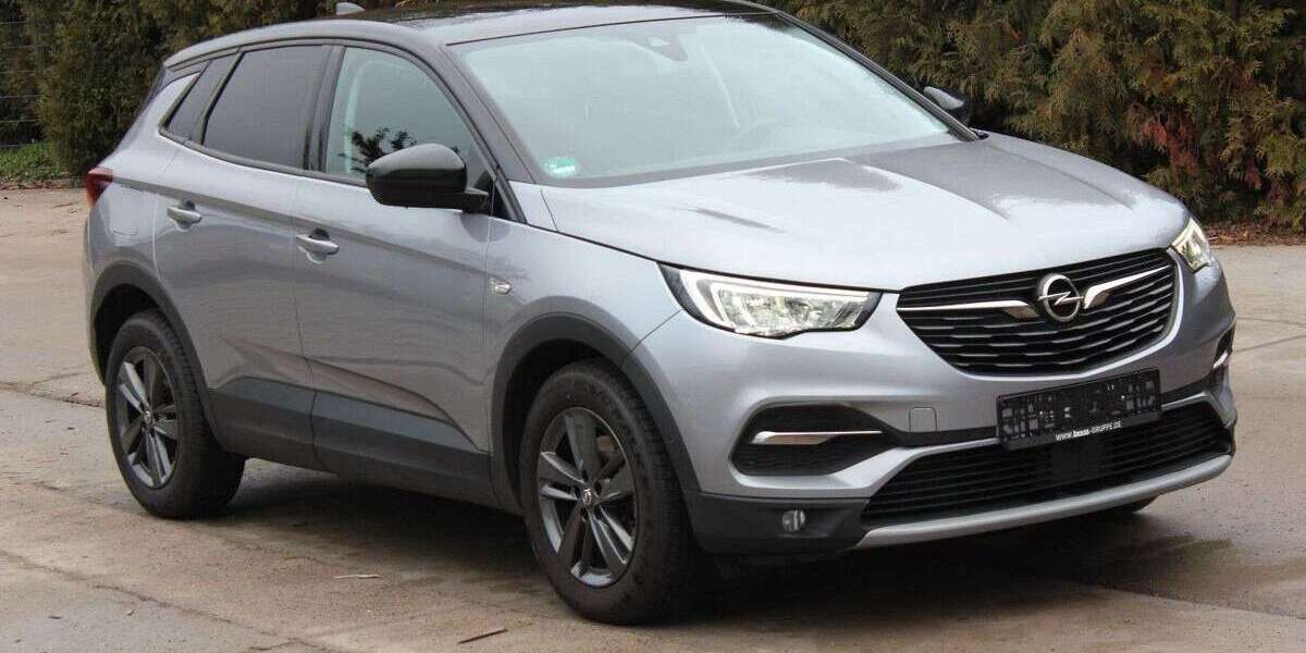 Opel Grandland X 121.000 km 11.000 &euro; Erlenbach a. Main 63906