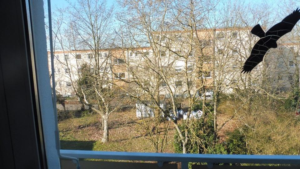 Etagenwohnung Rodgau - 3 Zimmer, 74 m&sup2;, 245.000&euro; | Angebot:25973398