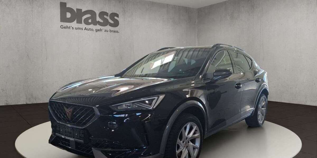 Cupra Formentor 28.647 km 26.950 &euro; Alzenau 63755