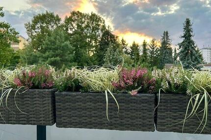 Haus Maintal - 4 Zimmer, 106 m&sup2;, 1.620&euro; | Angebot:25158266