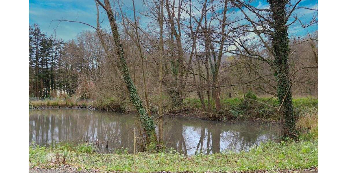 Einfamilienhaus Mömbris Niedersteinbach - 895.000&euro; | Angebot:25678108