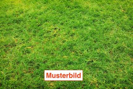 Grundstück Alzenau - 305.000&euro; | Angebot:26094521