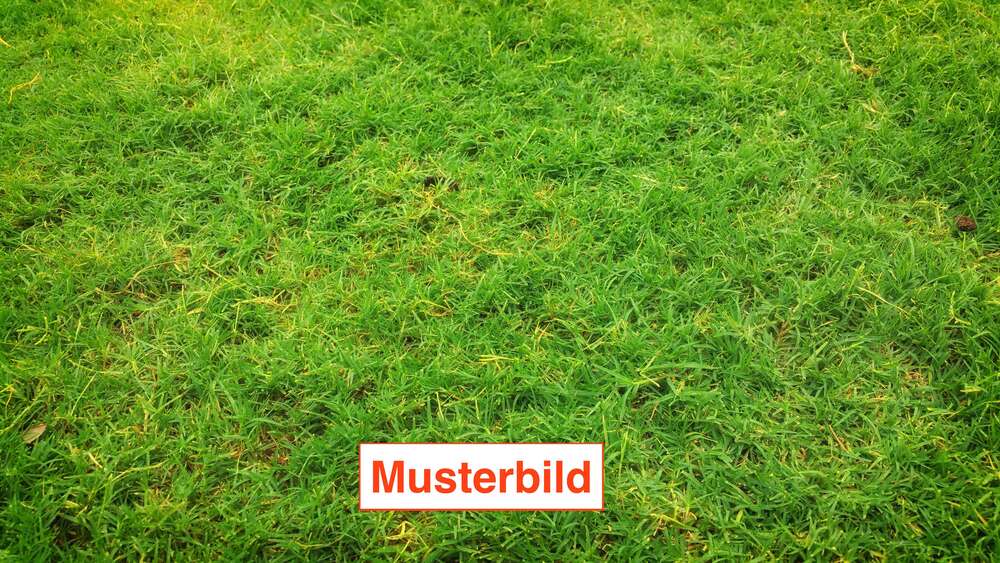 Grundstück Alzenau - 305.000&euro; | Angebot:26094521