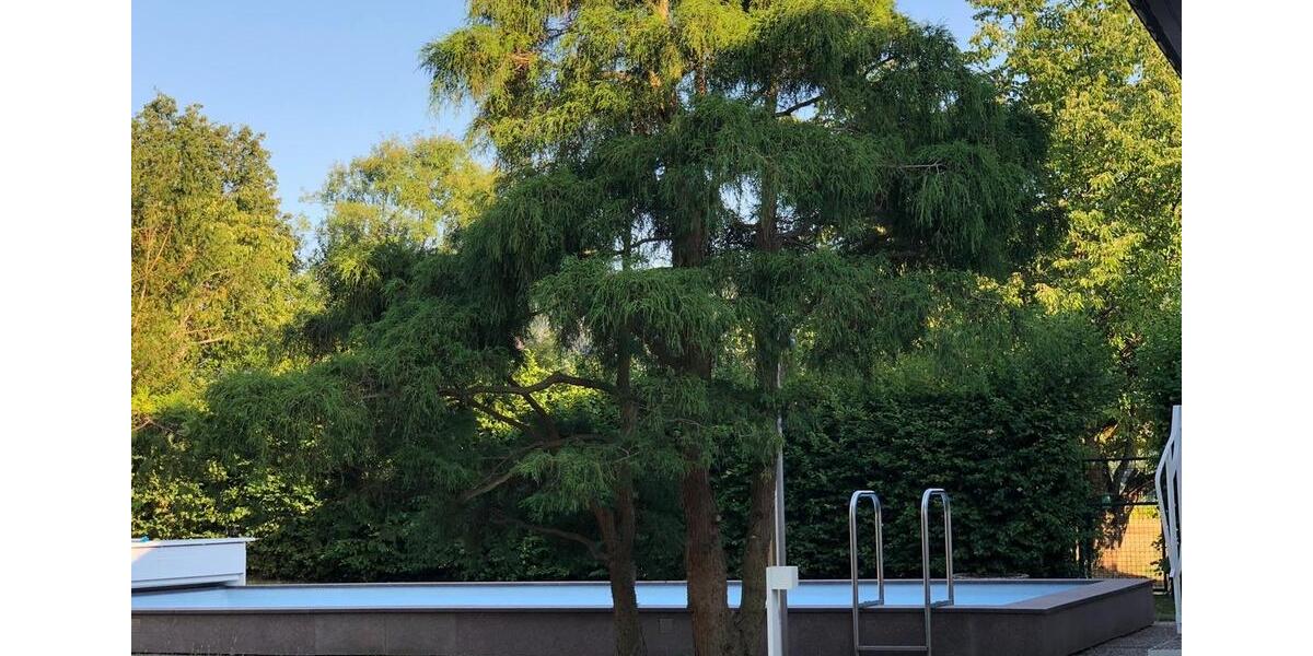 Einfamilienhaus Bürgstadt - 9 Zimmer, 300 m&sup2;, 2.950&euro; | Angebot:24940965