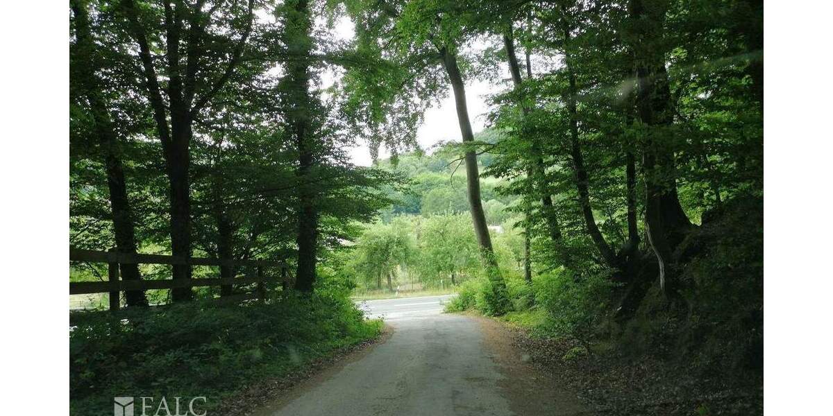 Einfamilienhaus Mömbris Neuses - 6 Zimmer, 165 m&sup2;, 1.298.000&euro; | Angebot:25677987