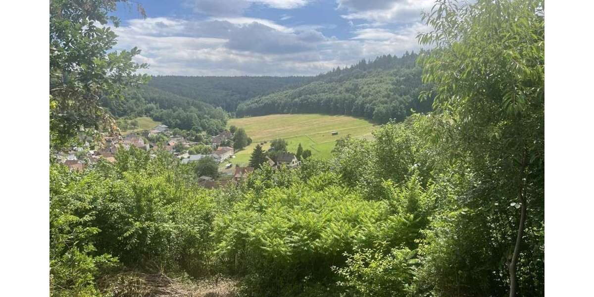 Einfamilienhaus Breuberg / Wald-Amorbach Amorbach - 4 Zimmer, 117 m&sup2;, 269.000&euro; | Angebot:27045775