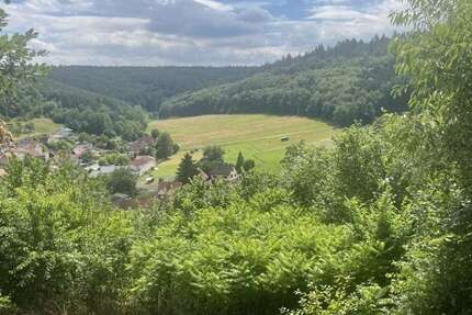 Haus Breuberg / Wald-Amorbach Amorbach - 4 Zimmer, 117 m&sup2;, 269.000&euro; | Angebot:27045775