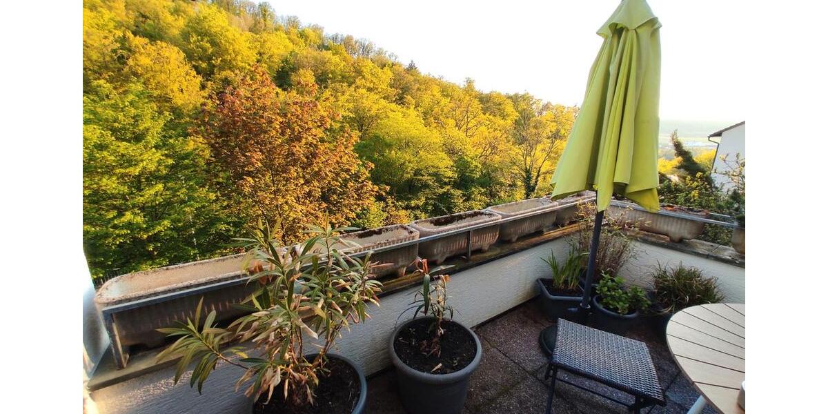 Mehrfamilienhaus, Wohnhaus Klingenberg am Main - 7 Zimmer, 230 m&sup2;, 598.000&euro; | Angebot:27067999