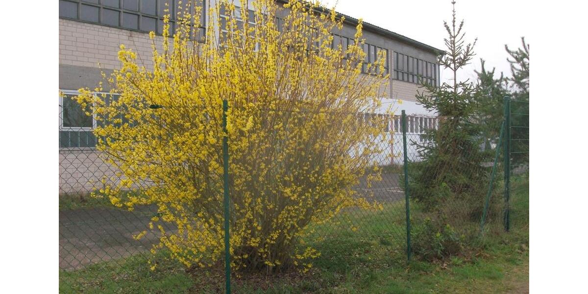 Gewerbeobjekt Rodgau - 5&euro; | Angebot:23552617