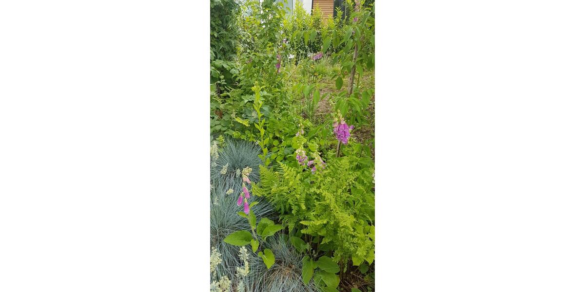 Terrassenwohnung Groß-Bieberau Bieberau - 3 Zimmer, 100 m&sup2;, 1.300&euro; | Angebot:25480004