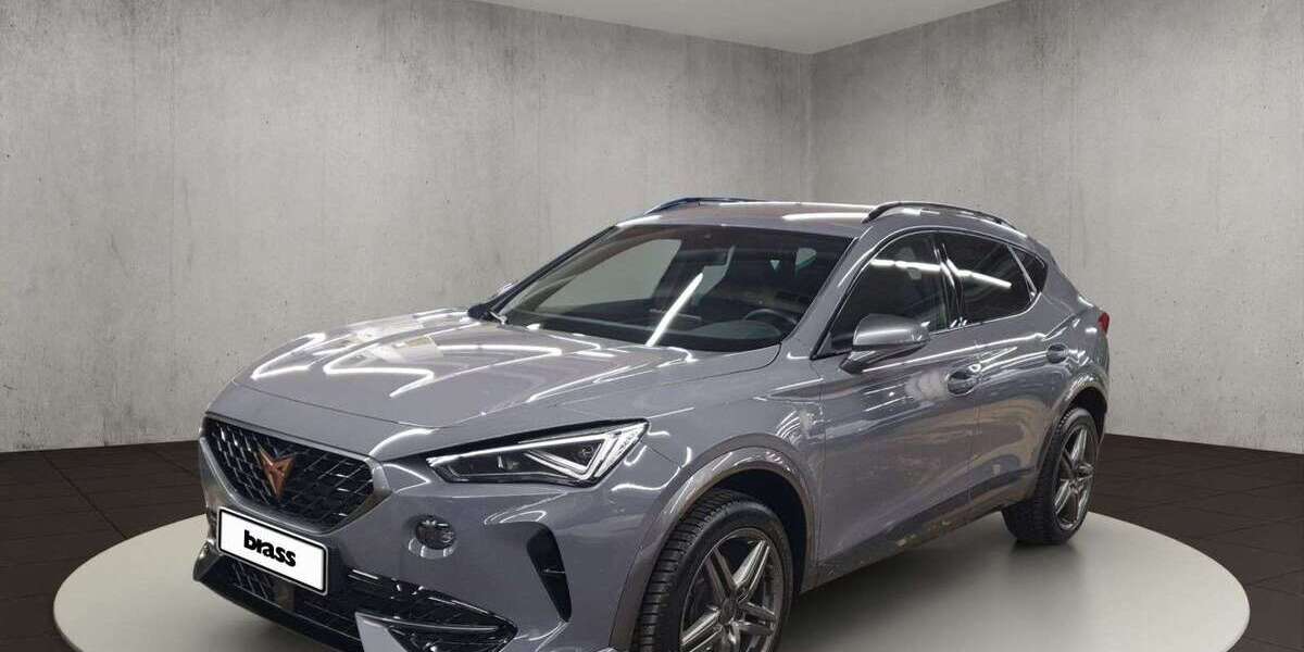 Cupra Formentor 53.960 km 29.480 &euro; Aschaffenburg 63739