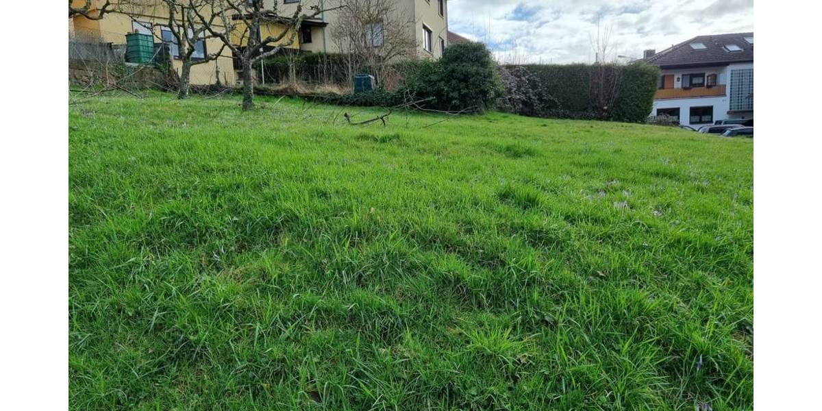 Grundstück Bad König - 60.000&euro; | Angebot:25729842