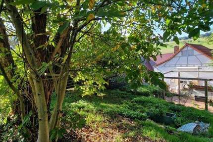 Haus Lützelbach / Breitenbrunn Breitenbrunn - 4 Zimmer, 75 m&sup2;, 210.000&euro; | Angebot:25667642