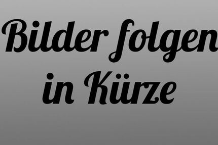 Dodge RAM 65.000 km 60.888 &euro; Kleinwallstadt 63839