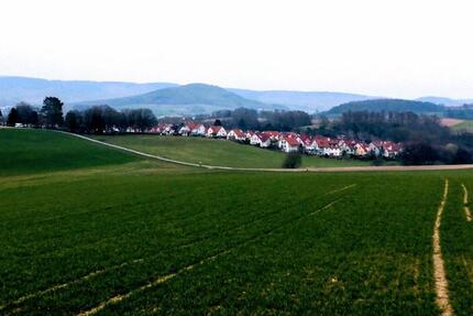 Wohnung Aschaffenburg Österreicher Kolonie - 3 Zimmer, 75 m&sup2;, 830&euro; | Angebot:26042527