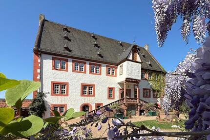 Gewerbeobjekt Klingenberg am Main - 1.456&euro; | Angebot:21930410