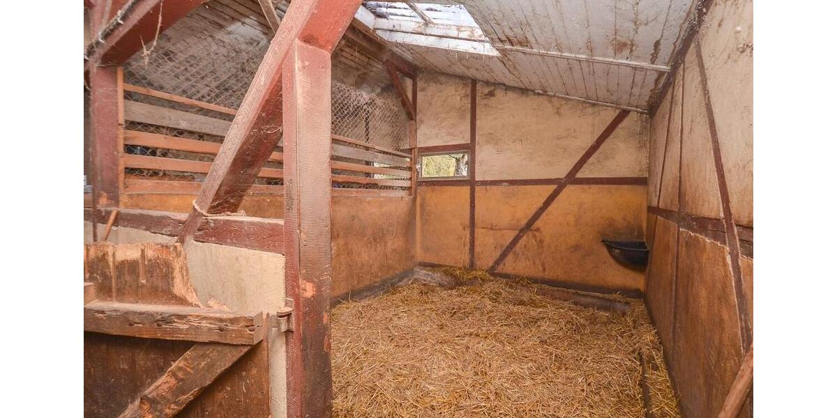 Gewerbeobjekt Seligenstadt - 1.300&euro; | Angebot:25431487