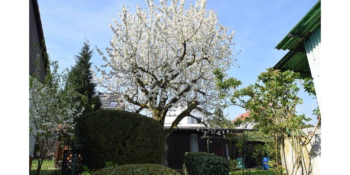 Einfamilienhaus Rödermark Urberach - 3 Zimmer, 90 m&sup2;, 579.000&euro; | Angebot:26330358