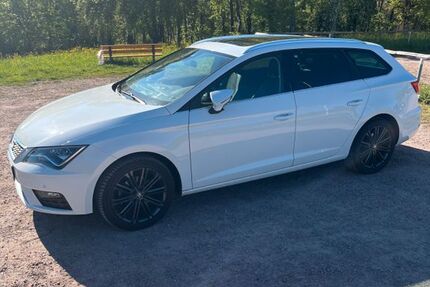 Seat Leon 101.500 km 17.200 &euro; Obernburg 63785