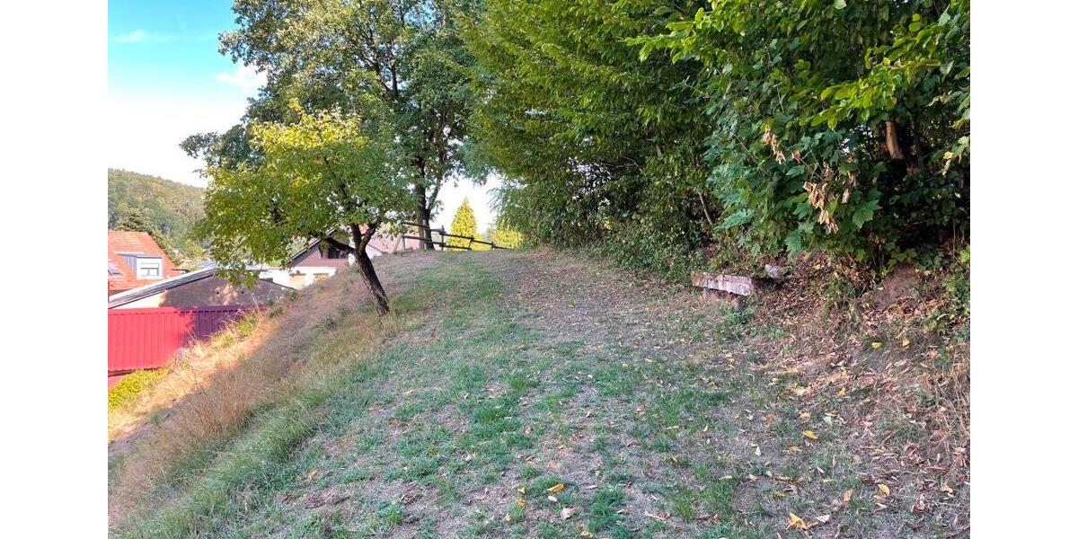 Mehrfamilienhaus, Wohnhaus Großheubach - 25 Zimmer, 495 m&sup2;, 1.149.900&euro; | Angebot:13159750