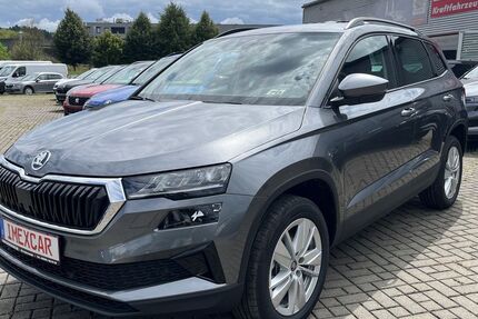Skoda Karoq 9.950 km 31.990 &euro; Bessenbach 63856