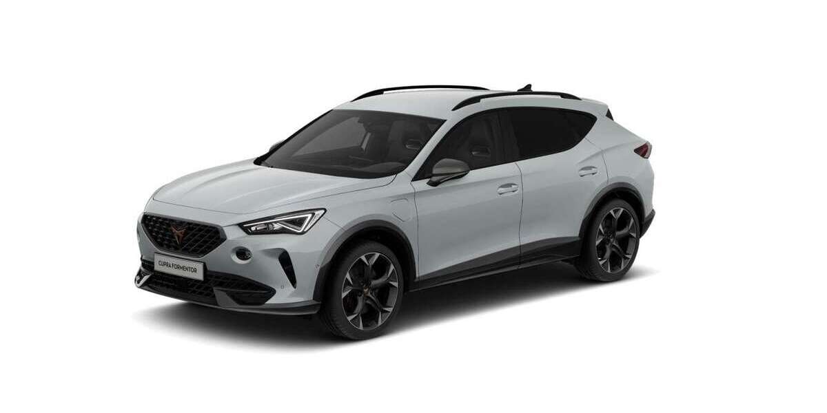 Cupra Formentor 26.100 km 27.449 &euro; Mühlheim a. Main 63165