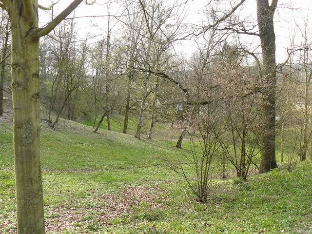 Gelegenheit! Geräumiges EFH im Grünen zwischen Damm und Strietwald - Reihenendhaus Aschaffenburg Damm | Angebot:10601587