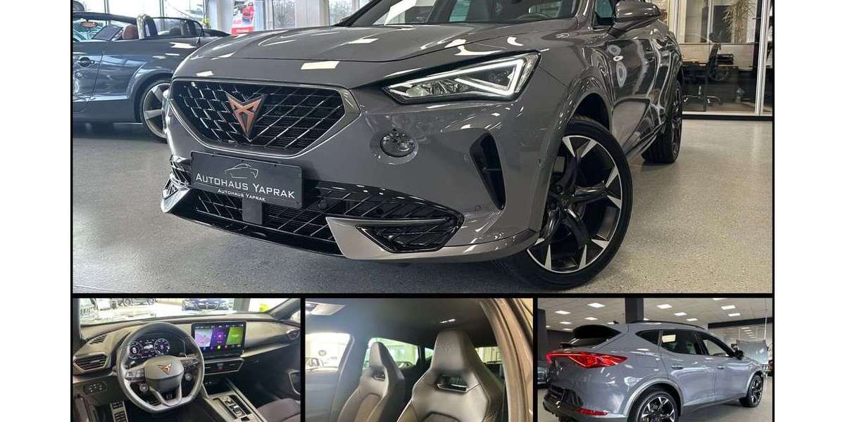 Cupra Formentor 76.883 km 28.490 &euro; Hösbach 63768