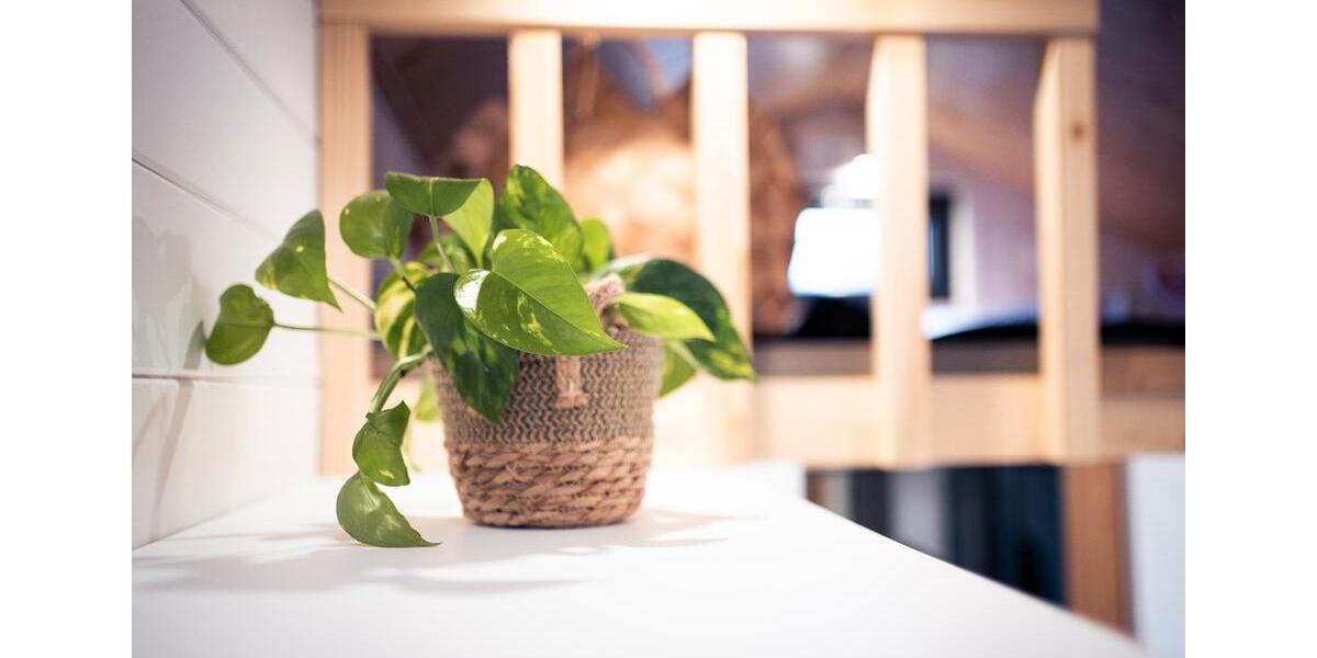 Einfamilienhaus Schaafheim - 64.990&euro; | Angebot:8274009