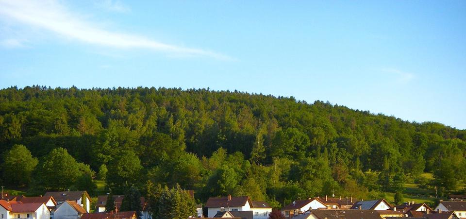 Einfamilienhaus Linsengericht - 7 Zimmer, 180 m&sup2;, 711.000&euro; | Angebot:26340851