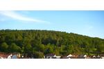 Einfamilienhaus Linsengericht - 7 Zimmer, 180 m&sup2;, 711.000&euro; | Angebot:26340851