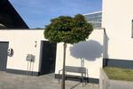 Einfamilienhaus Hösbach - 5 Zimmer, 153 m&sup2;, 799.000&euro; | Angebot:27046049