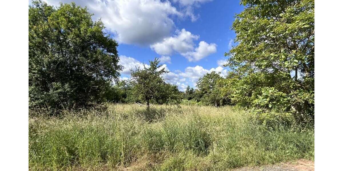 Grundstück Erlenbach am Main - 320.000&euro; | Angebot:14233050