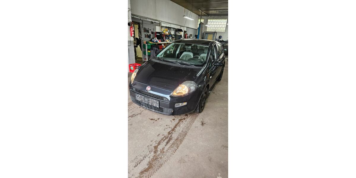 Fiat Punto 113.082 km 3.299 &euro; Dietzenbach 63128
