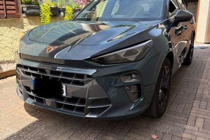 Cupra Terramar 17.900 km 40.500 &euro; Reinheim 64354