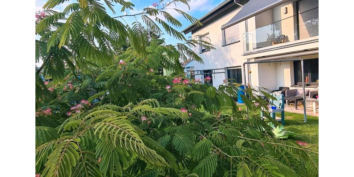 Einfamilienhaus Freudenberg - 7 Zimmer, 200 m&sup2;, 735.000&euro; | Angebot:26239391