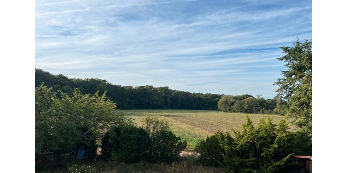 Einfamilienhaus Rodenbach - 640.000&euro; | Angebot:26119455