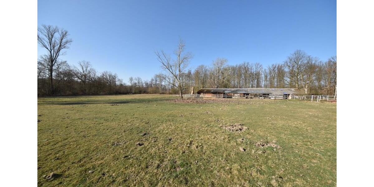 Gewerbeobjekt Seligenstadt - 1.300&euro; | Angebot:25431487