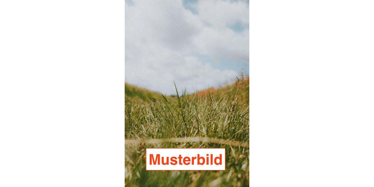 Grundstück Schaafheim - 250.000&euro; | Angebot:25997267