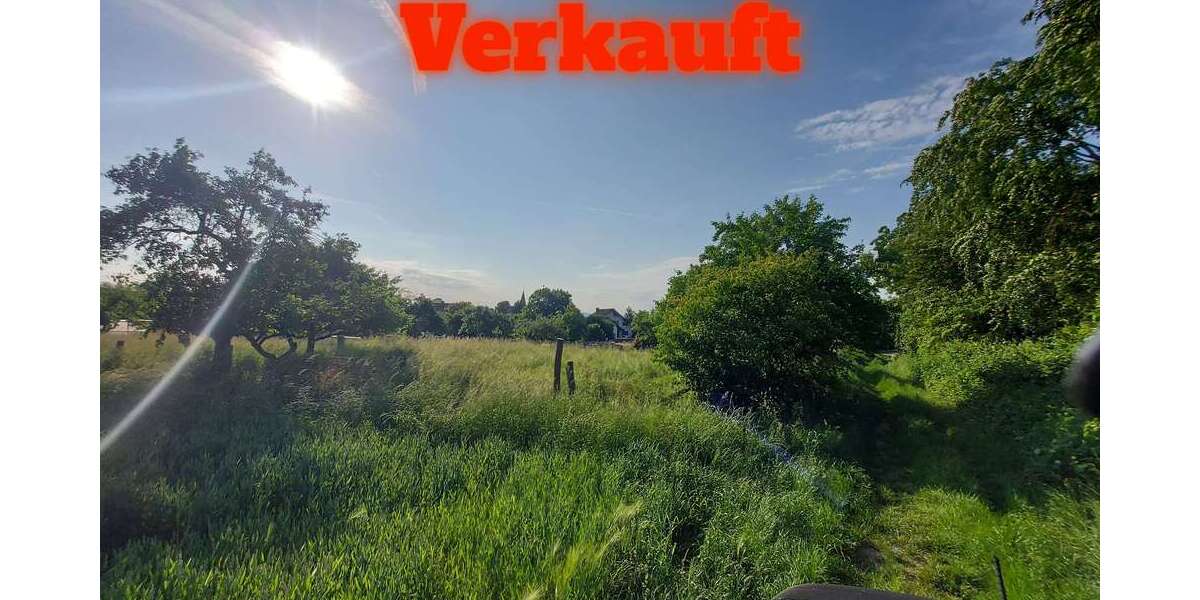 Grundstück Maintal - 490.000&euro; | Angebot:11454882