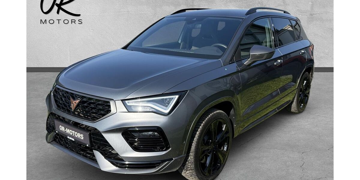 Cupra Ateca 79.500 km 24.990 &euro; Großwallstadt 63868