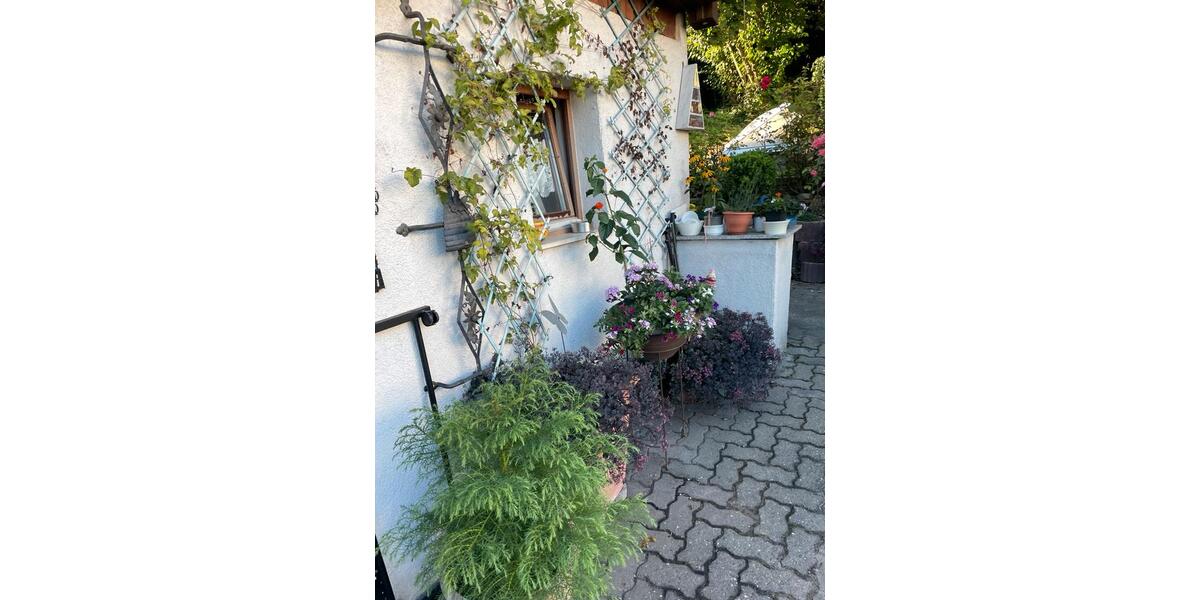 Mehrfamilienhaus, Wohnhaus Aschaffenburg Gailbach - 12 Zimmer, 250 m&sup2;, 695.000&euro; | Angebot:27083670